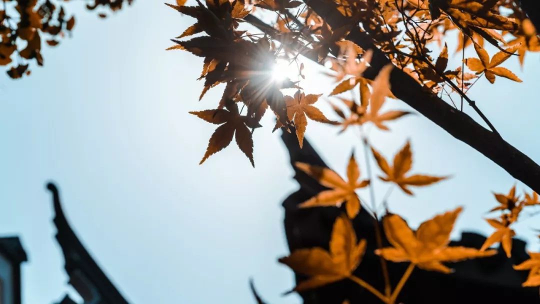 无锡南长街上的别墅,无锡南长街的别墅价格多少