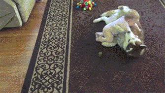 妈妈不舍宠物猫，婴儿肺里竟有猫毛?宠物与宝宝如何兼得?