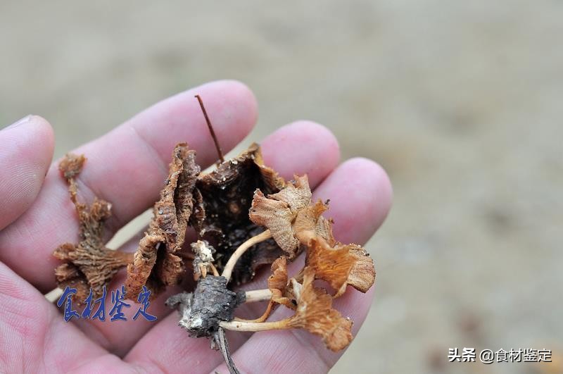 沈阳周边自然风光一日游的地方,沈阳隐秘的地方