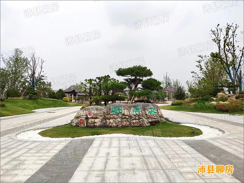 沛县千岛湖规划图,沛县安国镇湖湿地建设新项目