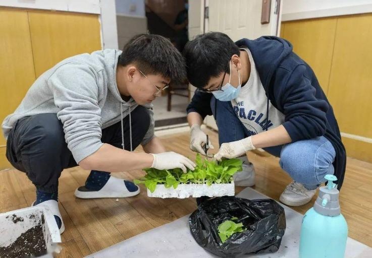 中国烟草青睐的大学专业,进烟草最好的专业
