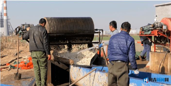 邢台南和农业有什么致富路 (邢台市中药材种植扶持力度)