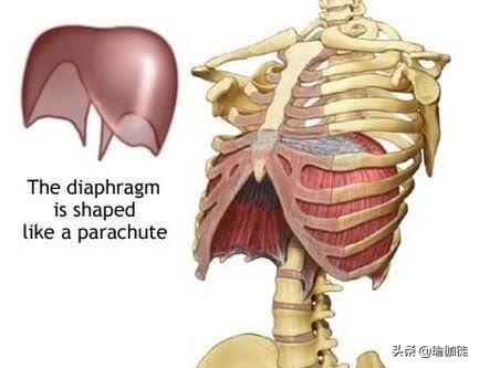 开车姿势会引起肩膀疼吗,开车脖子和背疼怎么缓解