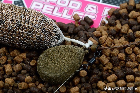 话说欧鲤之钓组篇,话说欧鲤钓