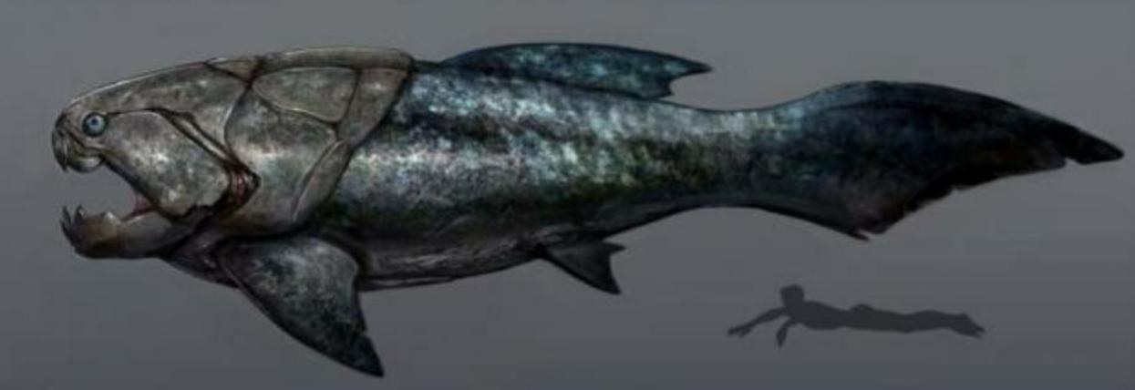 邓氏鱼怎么灭亡,邓氏鱼用什么驯服