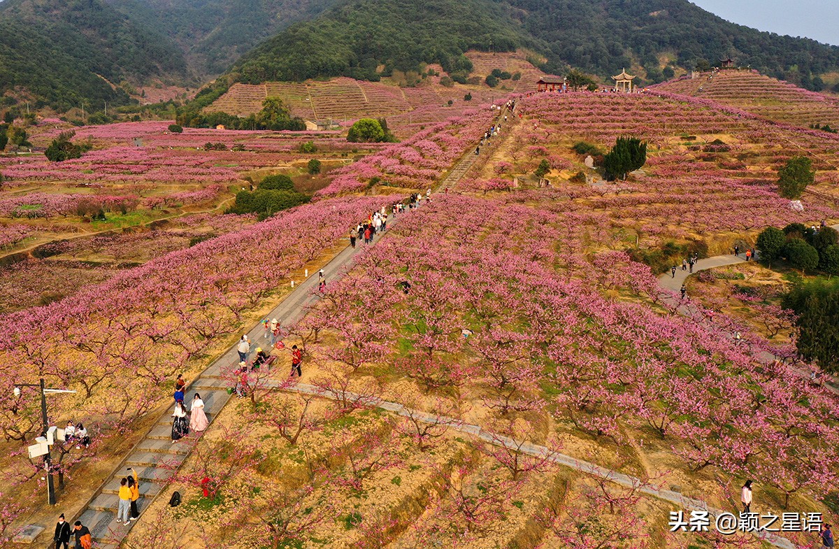 天下第一桃花源风景区,天下第一桃园图片