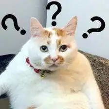 你老公会偷用你的化妆品吗?网友的回复炸天了!哈哈哈