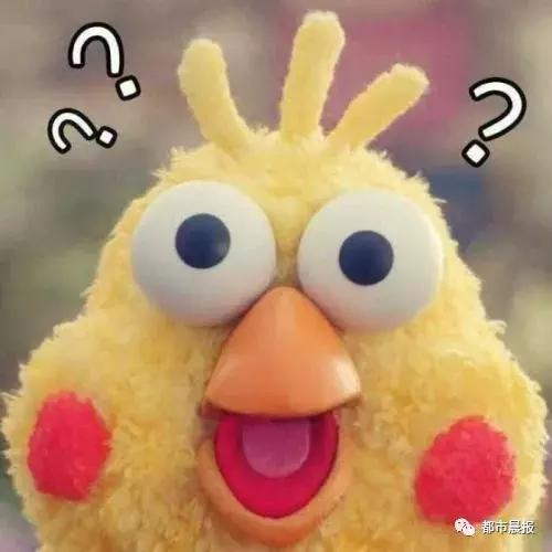 徐州骑电动车不戴头盔被追,徐州骑电动车没戴头盔视频