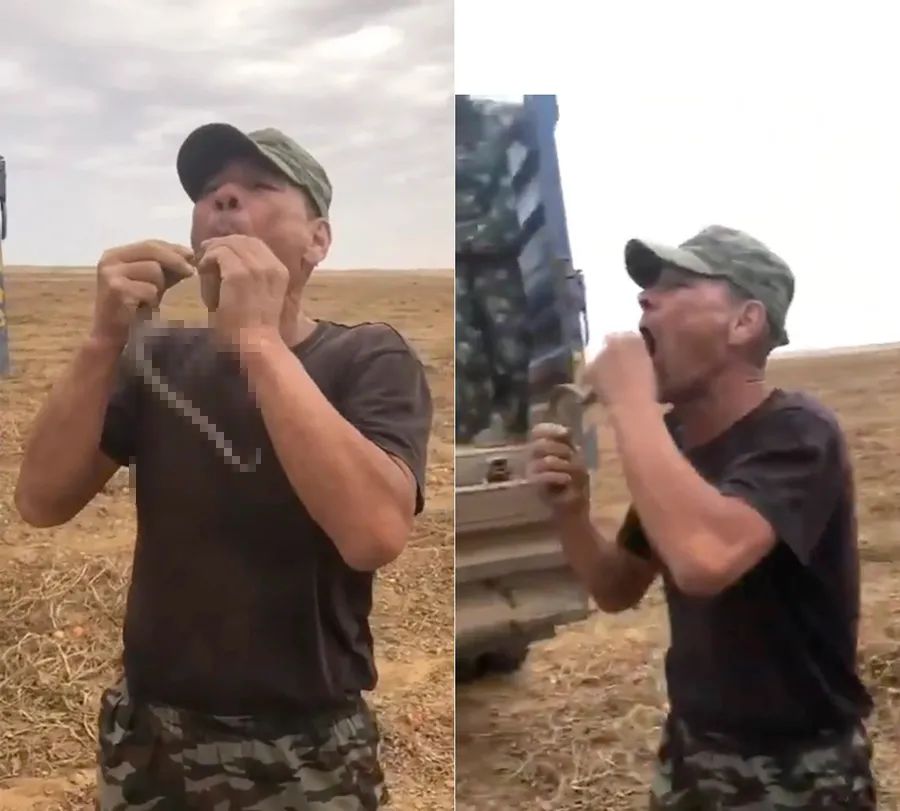 55岁大叔非要表演口吞毒蛇，被蛇咬舌身亡，草原蝰毒性有多大？