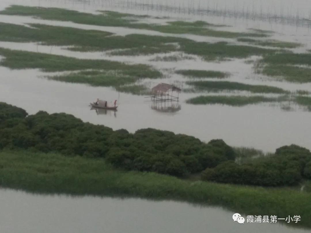 霞浦一中高一新生夏令营,霞浦县夏令营
