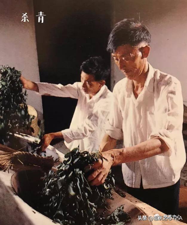 福建武夷山大红袍高香炭焙肉桂,武夷茶大红袍传统技艺