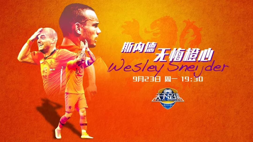 天下足球对斯内德的评价,天下足球十大感动瞬间斯内德