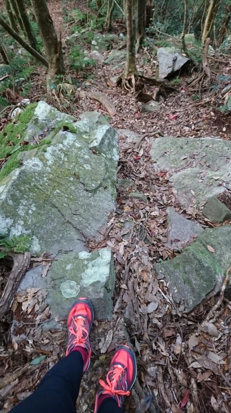 萨洛蒙和泰尼卡越野跑鞋,泰尼卡越野跑鞋至尊全能比较