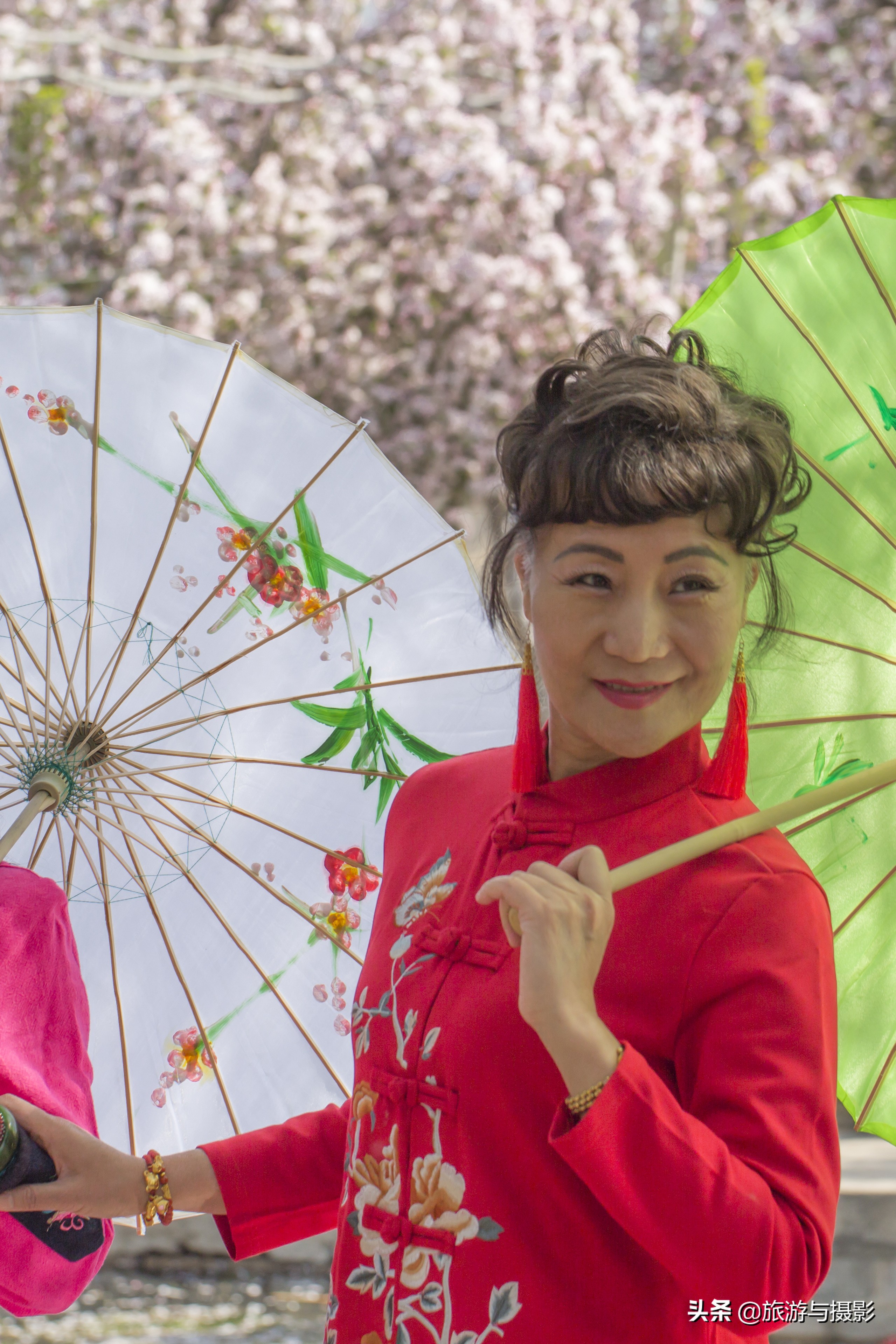 海棠花诗七绝,南宋海棠花图古诗