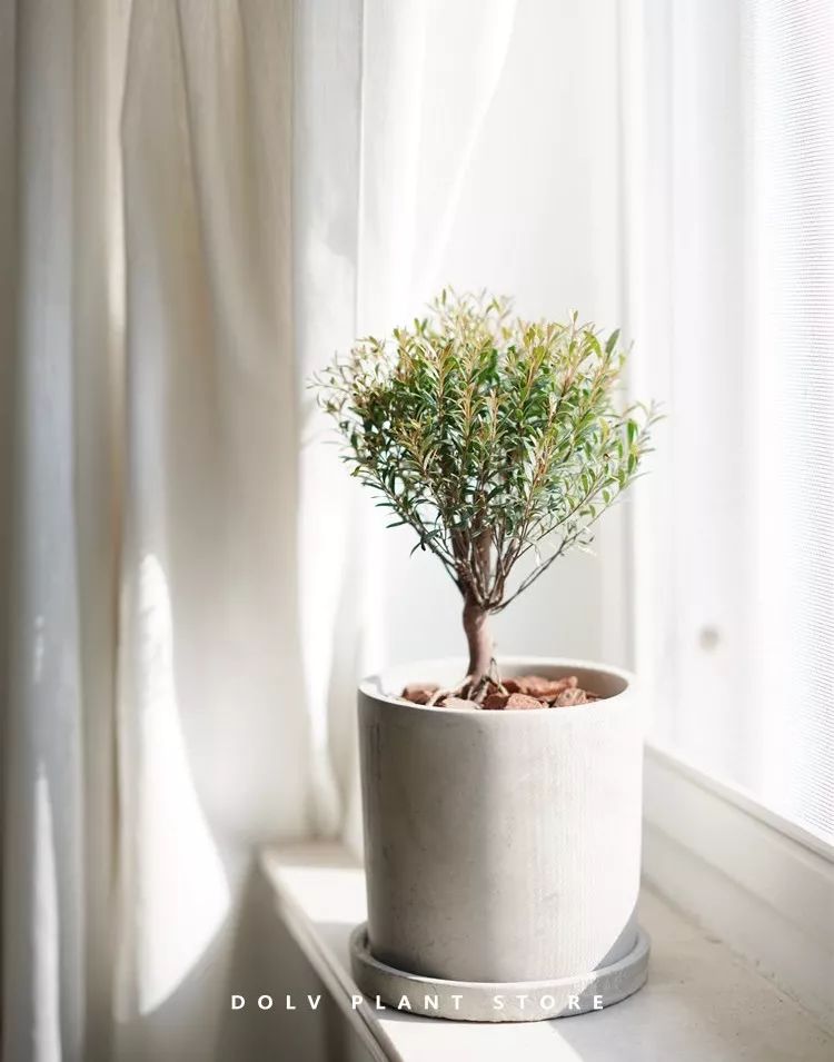 11月好物,10月实用好物推荐