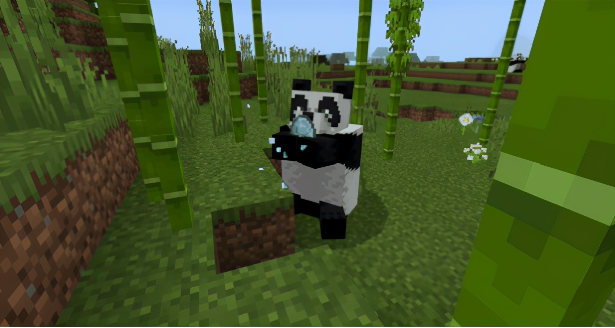 我的世界熊猫吃什么会繁殖,我的世界熊猫怎么繁育出特殊熊猫