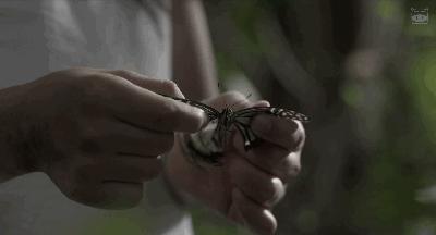 2019最被低估的电影排行榜前十名,10部被低估的恐怖片你看过几部