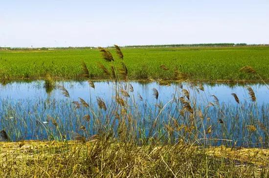 外地人去天津一般去哪里玩攻略,外地人天津春节游玩去处