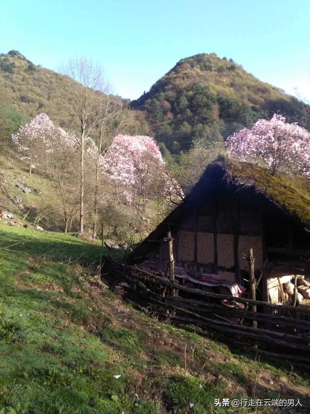 绵阳江油李白故里图片,绵阳藏王寨风景区
