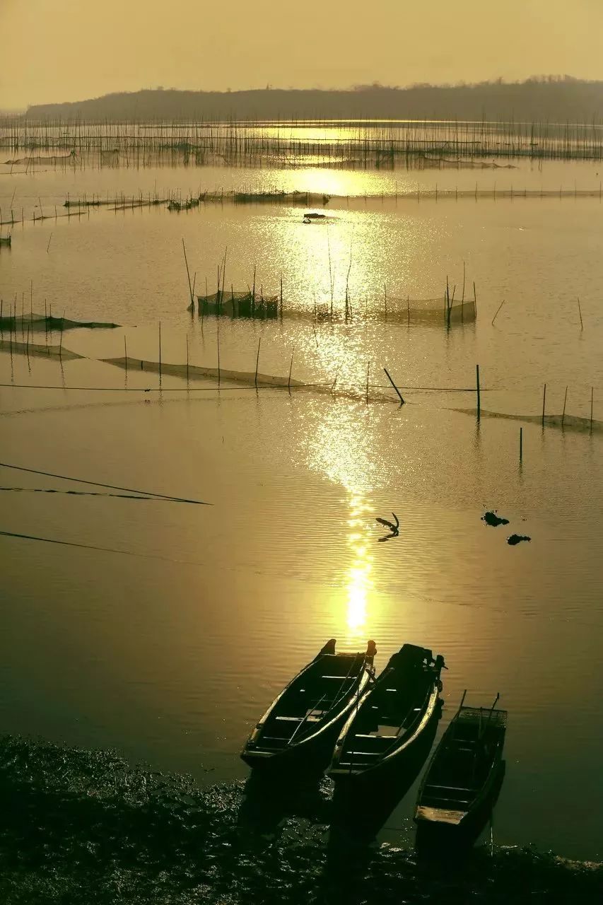 安徽最值得打卡的十大旅行地,安徽十大最好玩的山