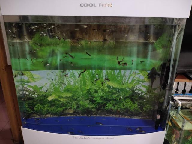 鱼缸加热用什么材质好,鱼缸加热管用多大合适