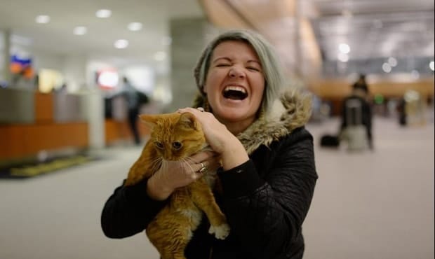 带猫咪回农村老家跑丢了怎么办,带猫咪出去玩跑丢了怎么找回来