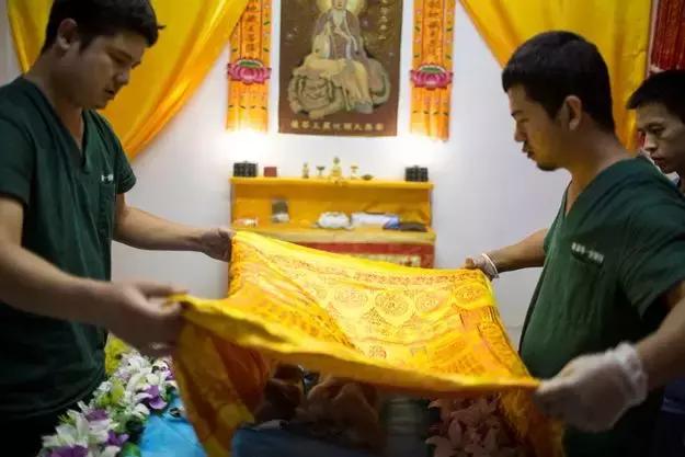 宠物走了怎么安慰高情商,宠物离去怎么走出去