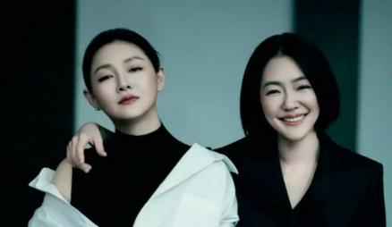 美颜日记升级版胶原蛋白肽,美颜燕窝胶原蛋白肽