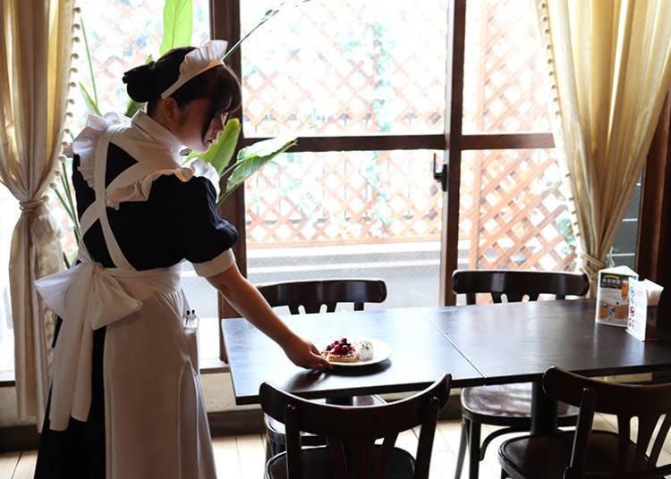 萌？治愈？宅男天堂？快来看看日本的女仆咖啡厅都提供哪些服务