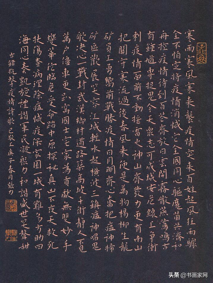 全县抗击新冠疫情书画作品展开展,全国书画网络展疫情