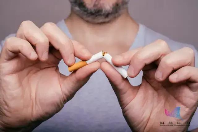 一天不排便犹如抽3包烟,一天不拉屎等于抽多少烟