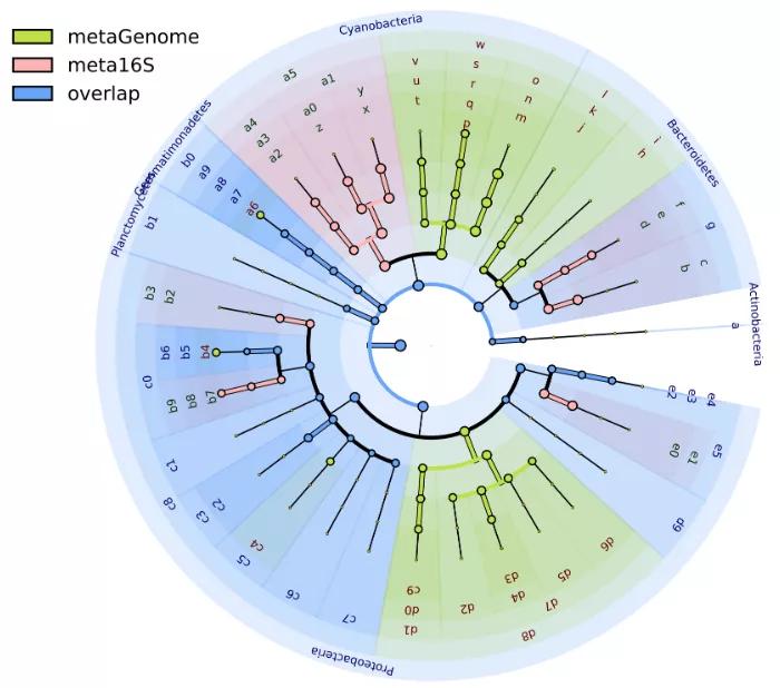 宏基因组学和16s,宏基因组与16s数据分析一样吗