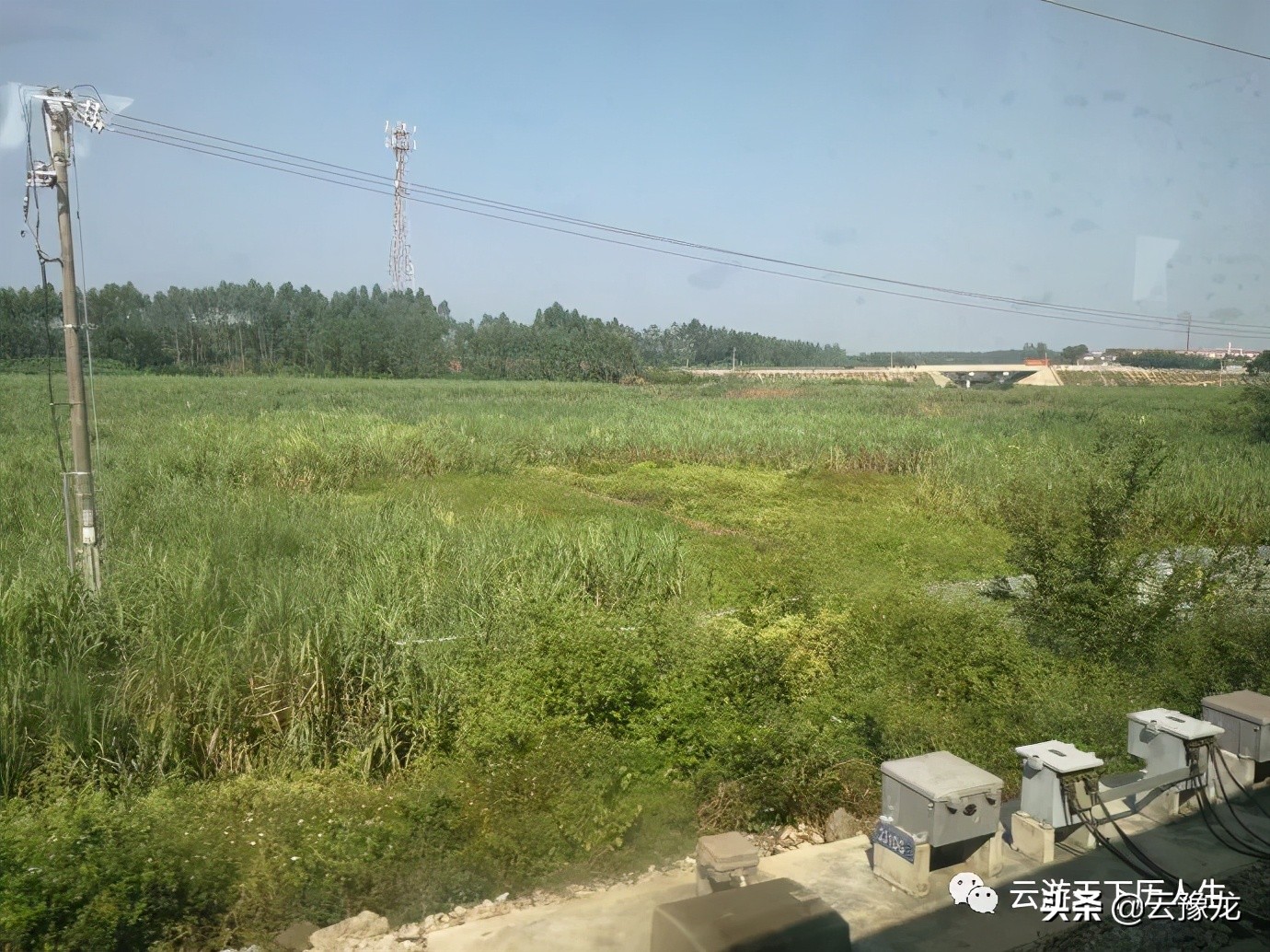 从湛江到海口火车,湛江到海口火车过海视频