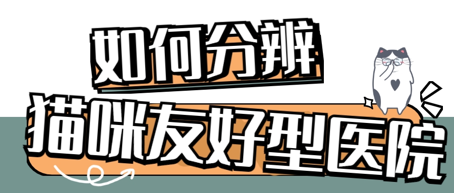 当了铲屎官才知道狗屎有多香,做了4年的铲屎官