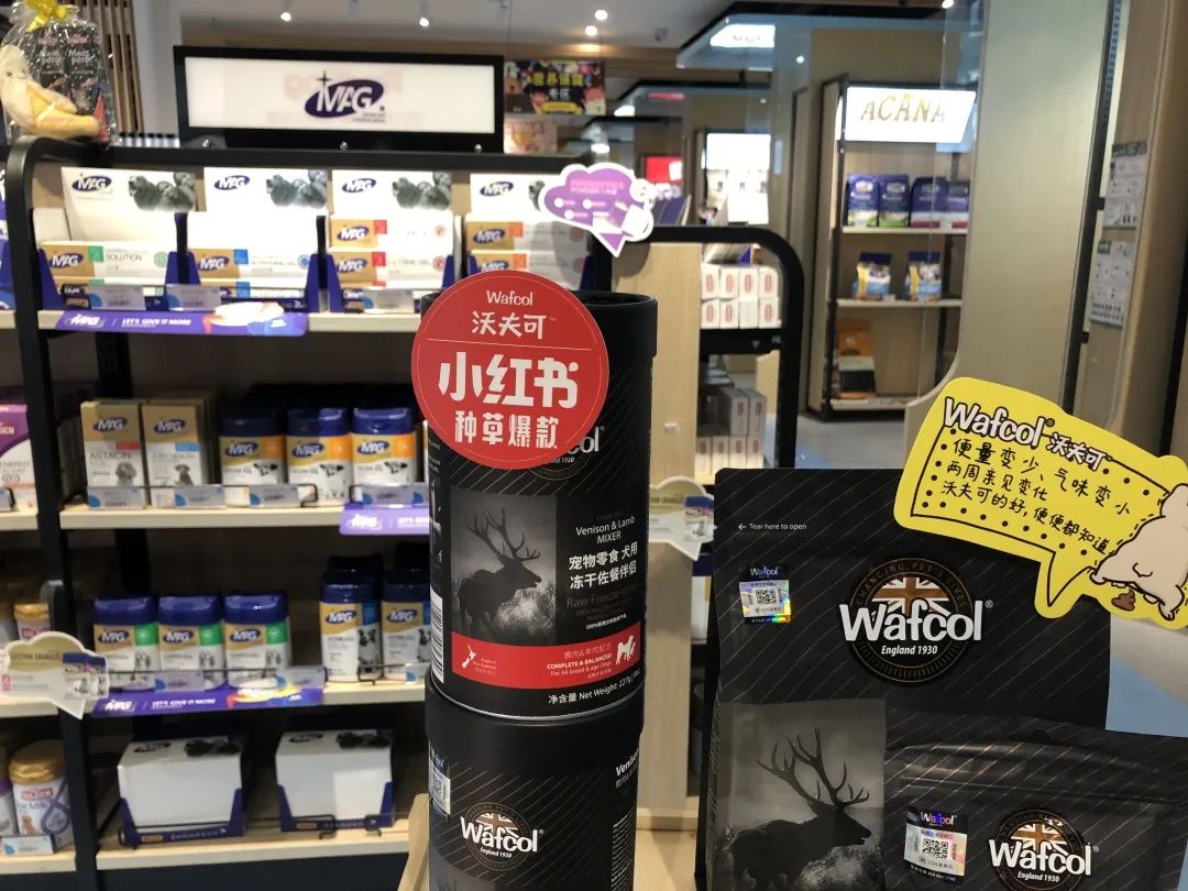 欢迎同行入内,这是一家为宠物店而开的宠物