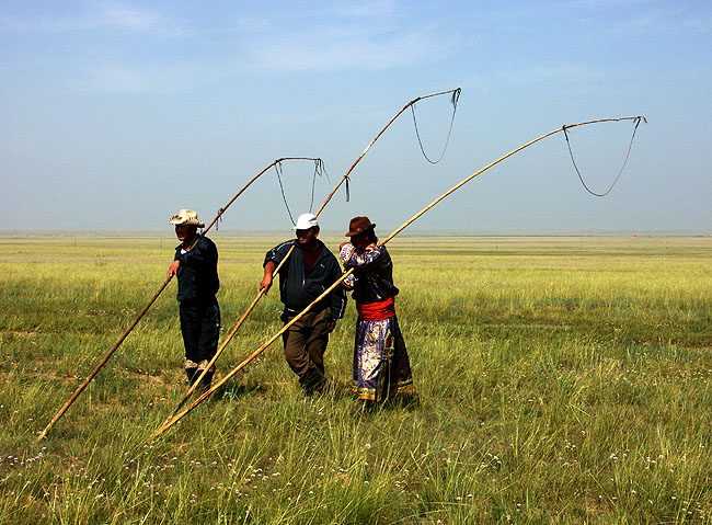 距今1.1万年前，中国人在西班牙卖麻绳网，写下“网”字