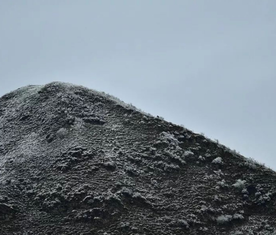 我国一级保护动物大盘点,中国只有一只的一级保护动物
