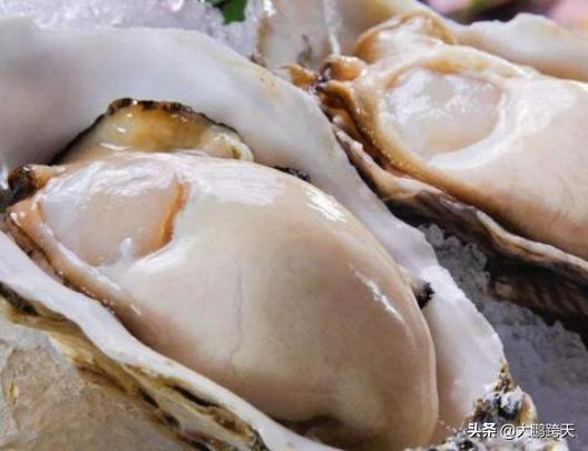 大连海鲜有多过瘾,大连海鲜是全国最好的吗