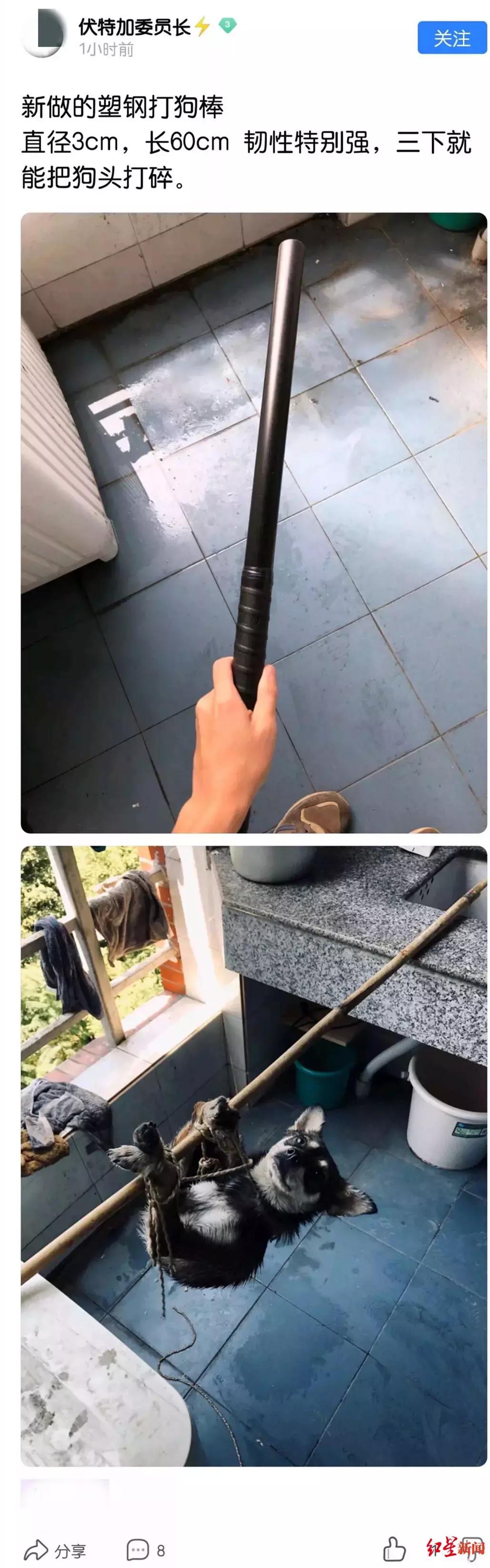 “三下把狗头打碎！”成都疑现虐狗研究生，目前正在调查