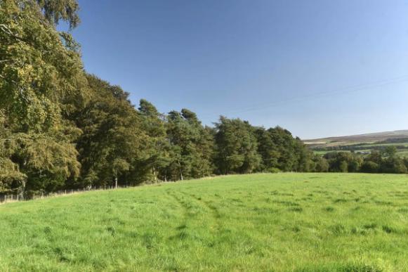 英国伦敦50亩的庄园别墅出售,英国300亩庄园出售