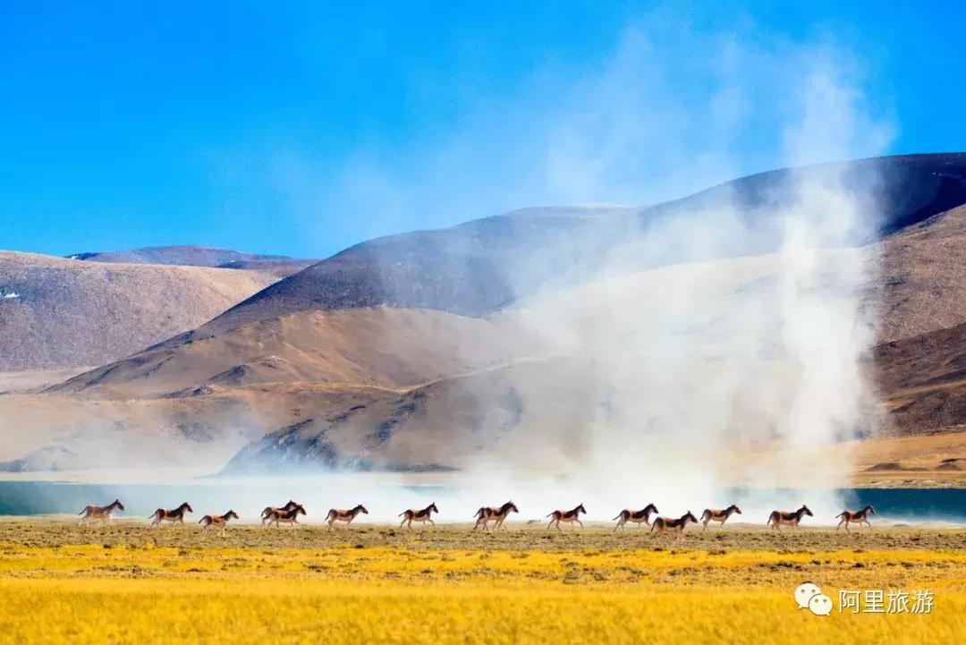 藏西秘境阿里之行,藏西秘境阿里