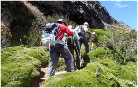 我的60岁，不能爬不了山，不想弯不下腰