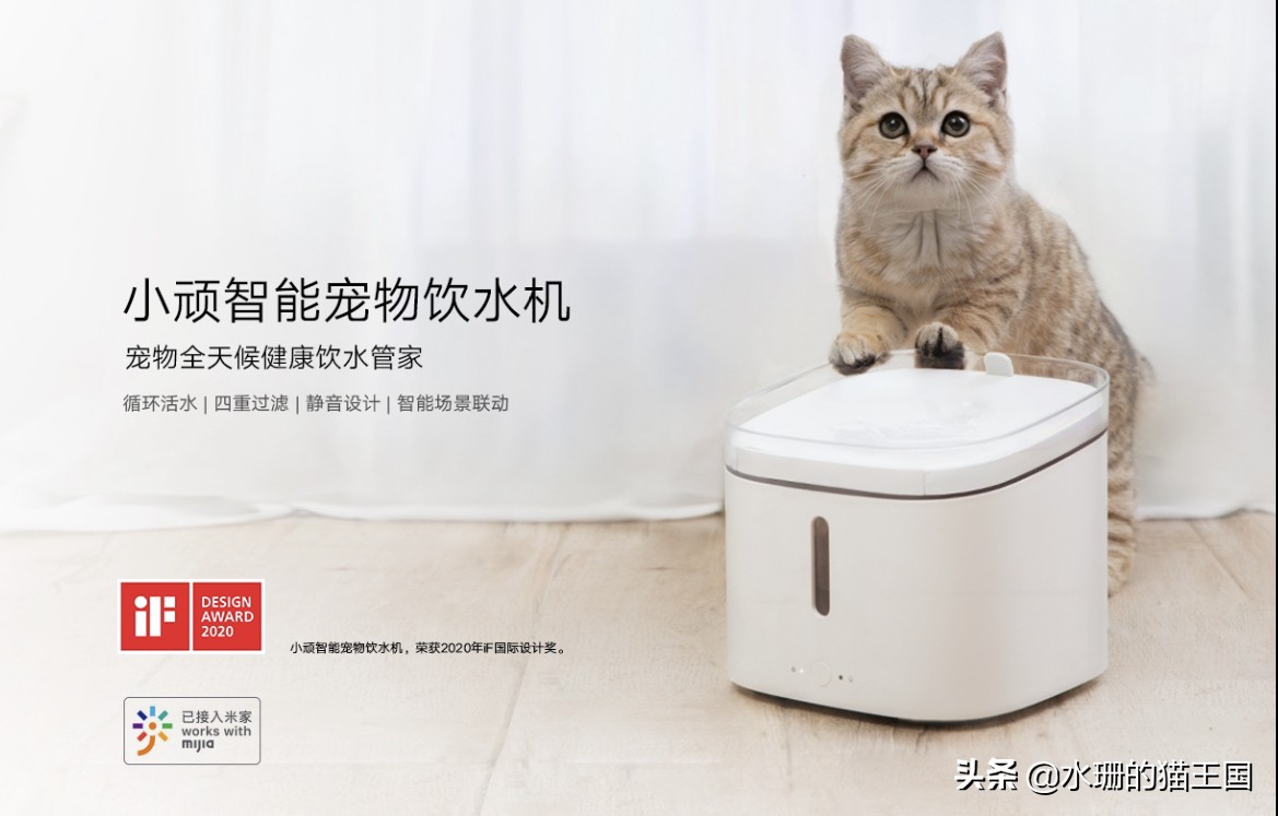 小顽智能宠物饮水机怎么使用,小清泉宠物无线饮水机测评