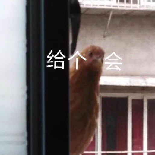 那些看起来特“亚”的人，都在穿什么牌子？