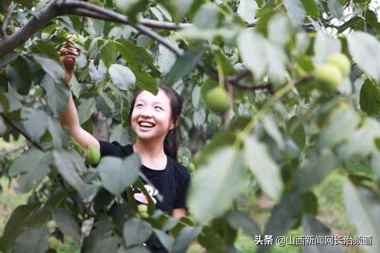 鎴戜滑韬竟鐨勬柊闂绘湁鍝簺,鎴戜滑韬竟鐨勪簩闈掍細灞辫タ
