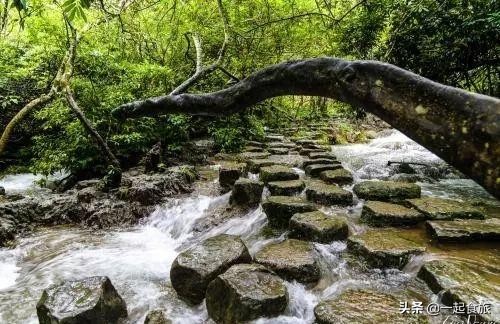 荔波小七孔攻略,荔波小七孔景区