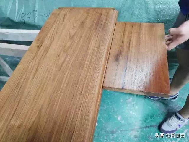 柚木为什么是万木之王,缅甸柚木为什么叫万木之王