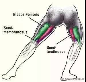 跑步减肥小腿快跟大腿一样粗了,大腿小腿粗跑步能减肥吗