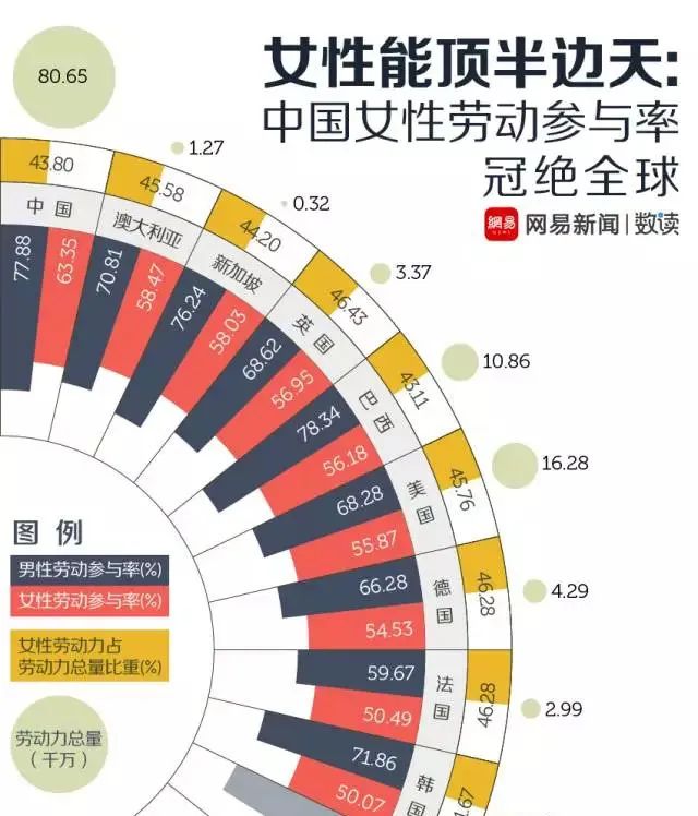 家务全包,家务全包的女人好累