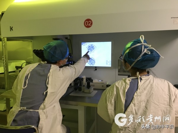 贵州可以做试管婴儿的有几家医院,贵州试管婴儿哪个医院成功率最高